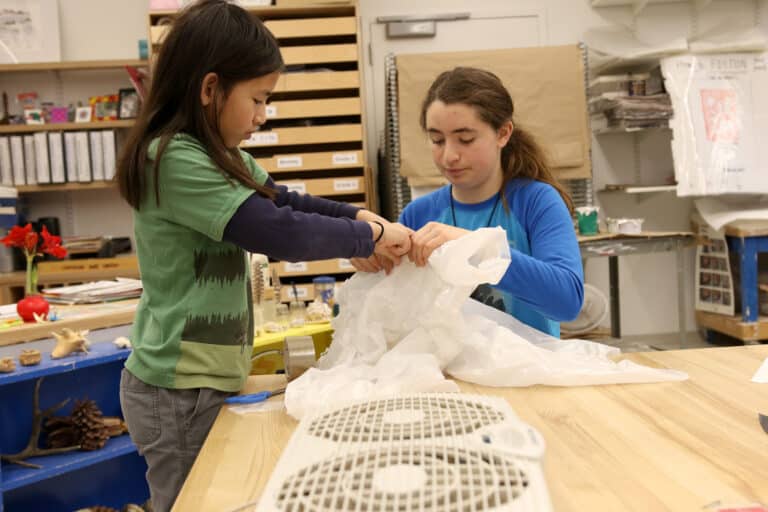 bds arts news 4 011720