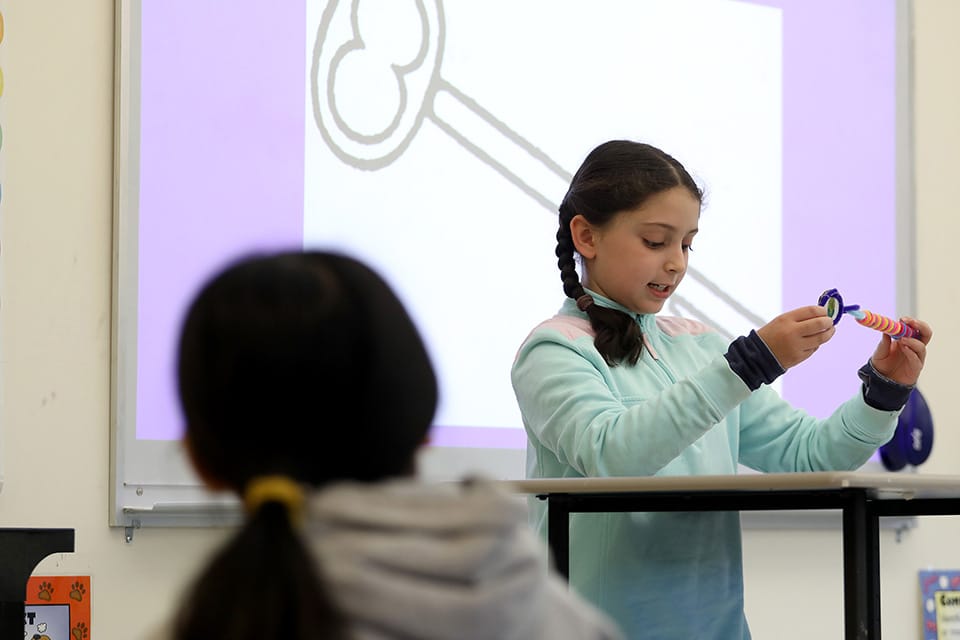 BDS Fifth Arrival Key 3 01.12.26Web